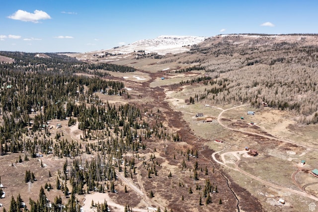 Unit 24, 51, Brian Head, UT 84719
