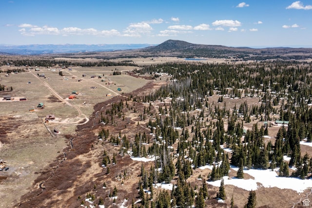 Unit 24, 51, Brian Head, UT 84719
