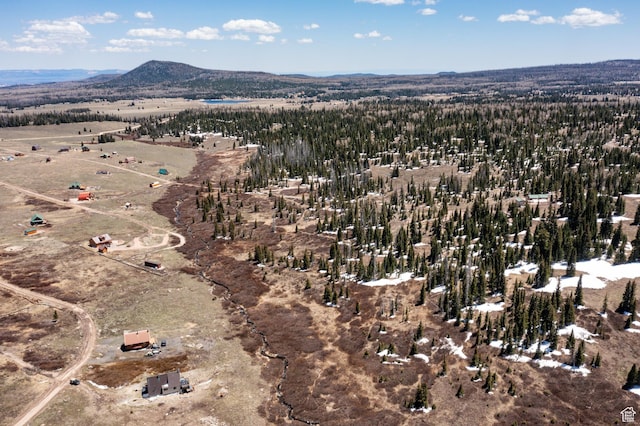 Unit 24, 51, Brian Head, UT 84719