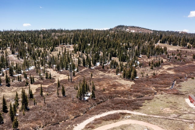 Unit 24, 51, Brian Head, UT 84719