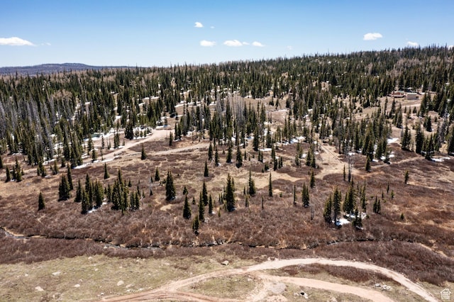 Unit 24, 51, Brian Head, UT 84719
