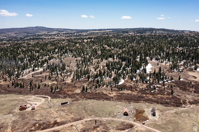 Unit 24, 51, Brian Head, UT 84719