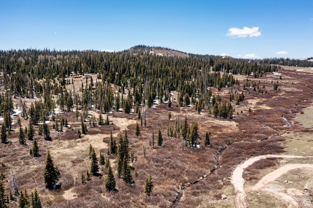 Unit 24, 51, Brian Head, UT 84719