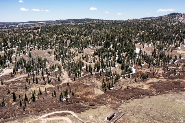 Unit 24, 51, Brian Head, UT 84719