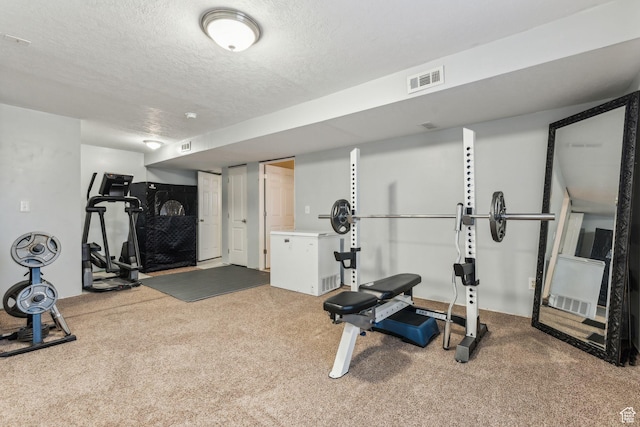 1044 S 1775 W, Syracuse, UT 84075 - workout area featuring a textured ceiling and carpet floors