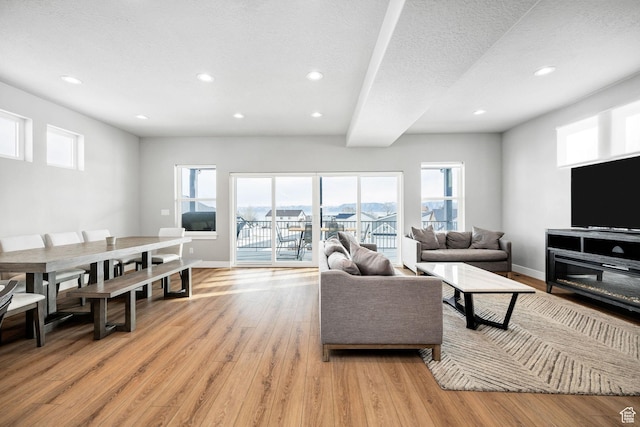 660 N Lochwood Dr # 69, Garden City, UT 84028 - living area featuring light wood-style flooring, recessed lighting, plenty of natural light, and baseboards