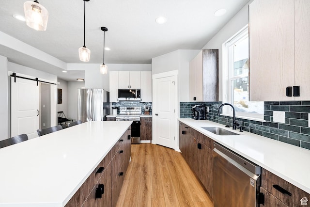 660 N Lochwood Dr # 69, Garden City, UT 84028 - kitchen featuring stainless steel appliances, a sink, a barn door, light wood-type flooring, and light countertops