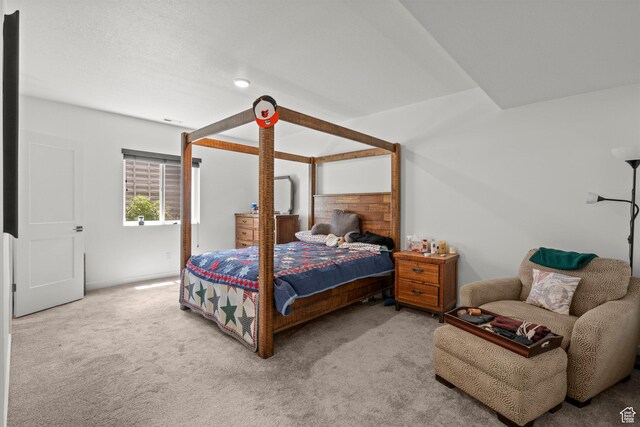 11242 S Willow Dr, South Jordan, UT 84009 - bedroom with carpet flooring