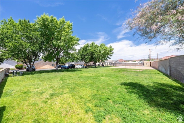 1040 N 1300th St Unit 52, St George, UT 84770 - view of yard