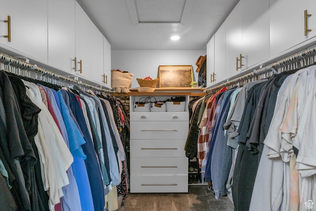 3791 W Soft Whisper Way, Herriman, UT 84096 - spacious closet with attic access and dark colored carpet