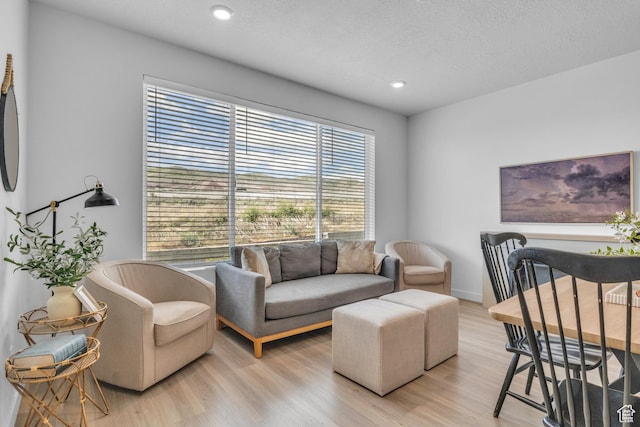 3791 W Soft Whisper Way, Herriman, UT 84096 - living area with light wood-type flooring, recessed lighting, a textured ceiling, and baseboards