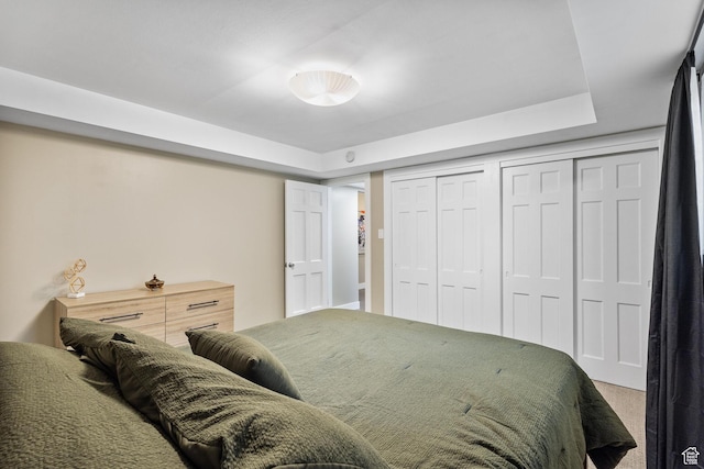 2220 E Murray Holladay Rd Unit 156, Holladay, UT 84117 - bedroom featuring carpet, a tray ceiling, and a closet