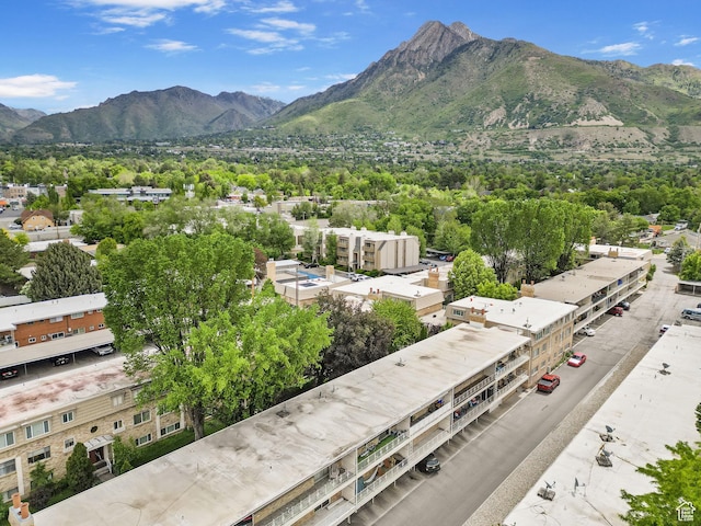 2220 E Murray Holladay Rd Unit 156, Holladay, UT 84117 - mountain view