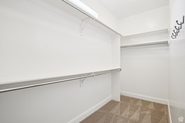 15056 S Sage Terrace Ln Unit 1014, Herriman, UT 84096 - walk in closet with carpet floors