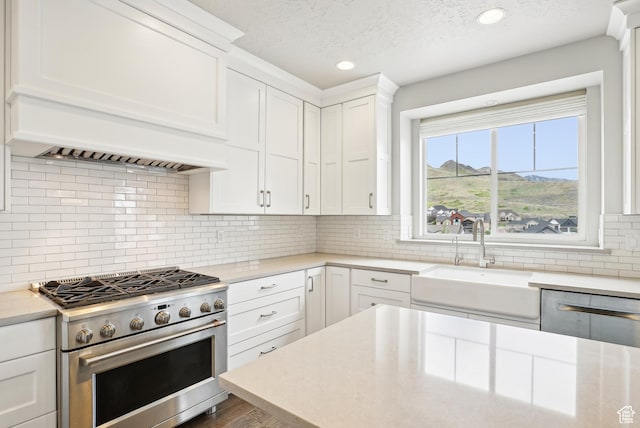 15056 S Sage Terrace Ln Unit 1014, Herriman, UT 84096 - kitchen with stainless steel appliances, a sink, tasteful backsplash, white cabinetry, and recessed lighting