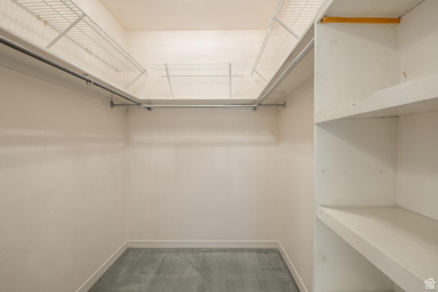 1055 E 900 S Unit 61, St George, UT 84790 - spacious closet with carpet floors