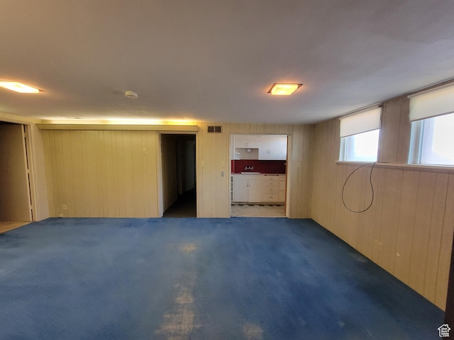 494 W 400 S, Cedar City, UT 84720 - below grade area featuring wooden walls and carpet flooring