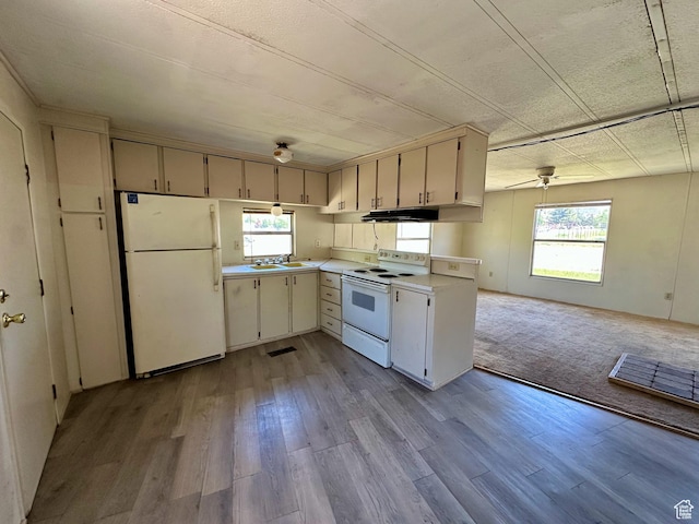 295 N 400 E, Nephi, UT 84648 - kitchen with white appliances, under cabinet range hood, light countertops, and wood finished floors