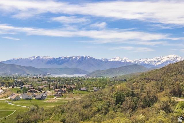 350 Luzern Rd E, Midway, UT 84049 - mountain view