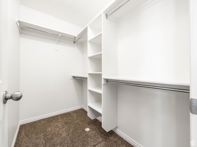 94 N 2830 W, Provo, UT 84601 - walk in closet with dark carpet