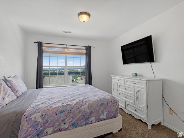 955 E Senior Band, Draper, UT 84020 - carpeted bedroom with baseboards