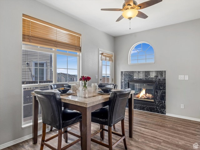 955 E Senior Band, Draper, UT 84020 - dining space featuring wood finished floors, a high end fireplace, baseboards, and ceiling fan