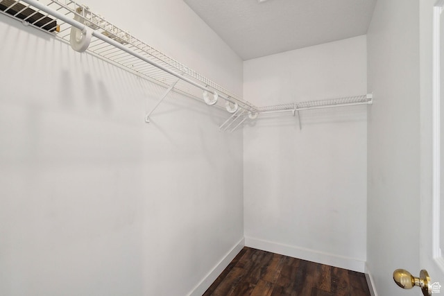 3018 S Leland Cv, South Salt Lake, UT 84106 - walk in closet with dark wood-type flooring