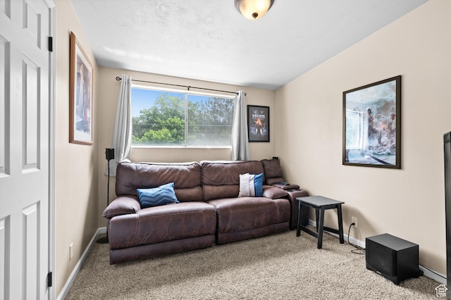 4314 S 615 E, Millcreek, UT 84107 - carpeted living area with baseboards