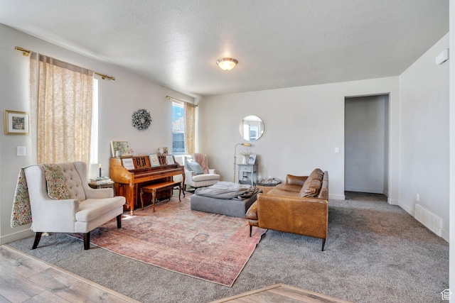 1460 E Lowe Peak Dr, Eagle Mountain, UT 84005 - living room featuring baseboards and a textured ceiling