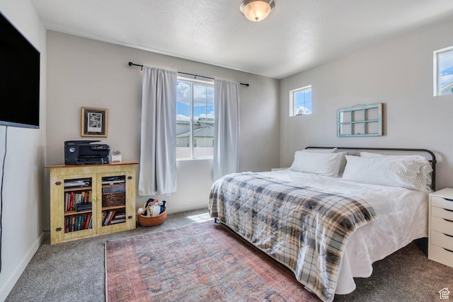 1460 E Lowe Peak Dr, Eagle Mountain, UT 84005 - bedroom featuring carpet and baseboards
