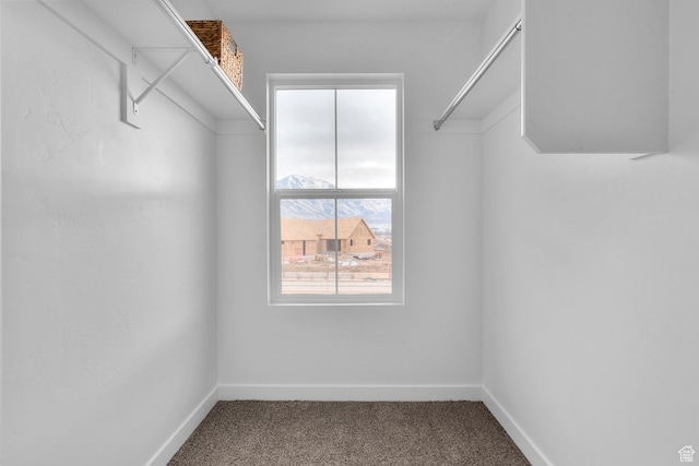 1261 N 375 E Unit 155, Harrisville, UT 84404 - spacious closet with carpet floors