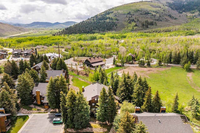 2025 S Canyon Resort Dr Unit F-8, Park City, UT 84098 - aerial view of residential area with mountains and a heavily wooded area