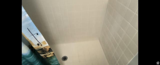 1004 N Sir Michael Dr, Salt Lake City, UT 84116 - bathroom view of a shower with shower curtain