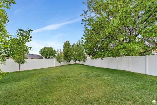 11844 S Logans Run Cv, Herriman, UT 84096 - view of yard