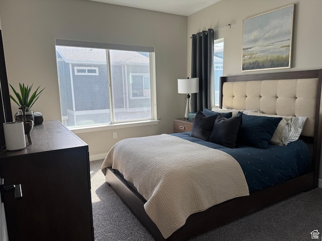15456 S Navy Trails Ln W, Bluffdale, UT 84065 - bedroom featuring carpet, multiple windows, and baseboards