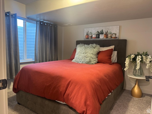 15456 S Navy Trails Ln W, Bluffdale, UT 84065 - carpeted bedroom with baseboards