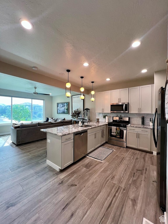 15456 S Navy Trails Ln W, Bluffdale, UT 84065 - kitchen featuring appliances with stainless steel finishes, a peninsula, open floor plan, light wood-type flooring, and a textured ceiling