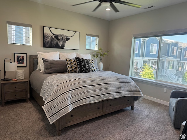 15456 S Navy Trails Ln W, Bluffdale, UT 84065 - bedroom featuring multiple windows, carpet, baseboards, and a ceiling fan
