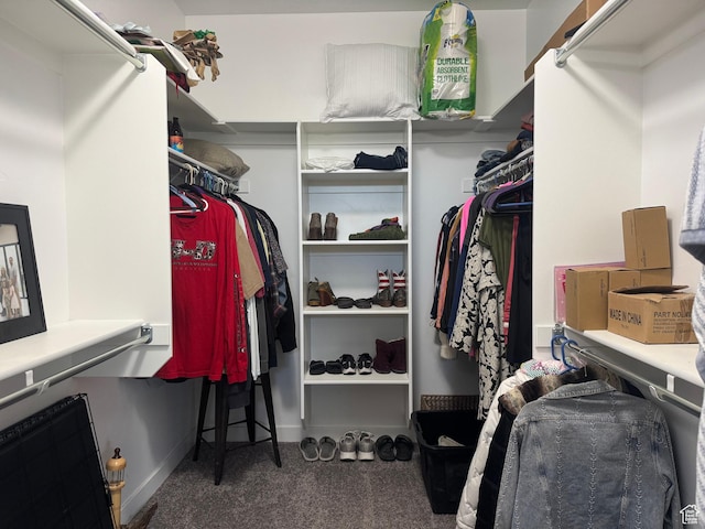 15456 S Navy Trails Ln W, Bluffdale, UT 84065 - spacious closet with carpet