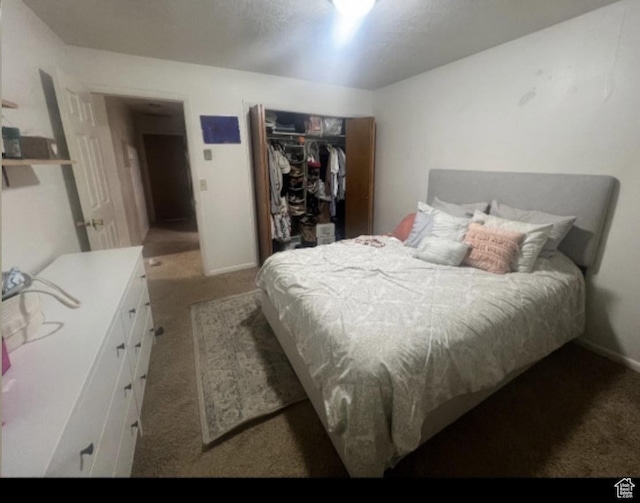 631 N 1150 W, Provo, UT 84601 - bedroom with light colored carpet, a closet, and baseboards