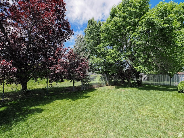 1090 E 2125 N, Layton, UT 84041 - view of yard