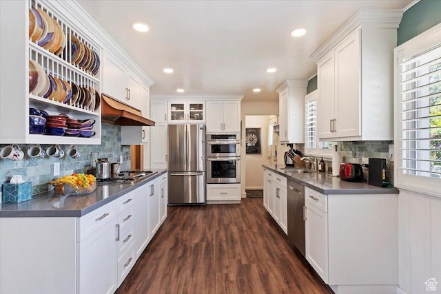 2377 S 150 E, Bountiful, UT 84010 - kitchen featuring stainless steel appliances, under cabinet range hood, dark countertops, dark wood-style flooring, and white cabinets