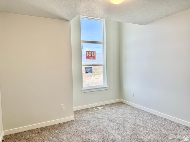 3807 W 1780 S Unit 213, Taylor, UT 84401 - spare room featuring carpet flooring, a textured ceiling, healthy amount of natural light, and baseboards