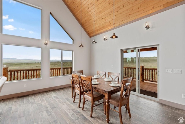 46982 W Thunder Ridge Rd, Fruitland, UT 84027 - dining area featuring high vaulted ceiling, wood finished floors, wooden ceiling, and baseboards