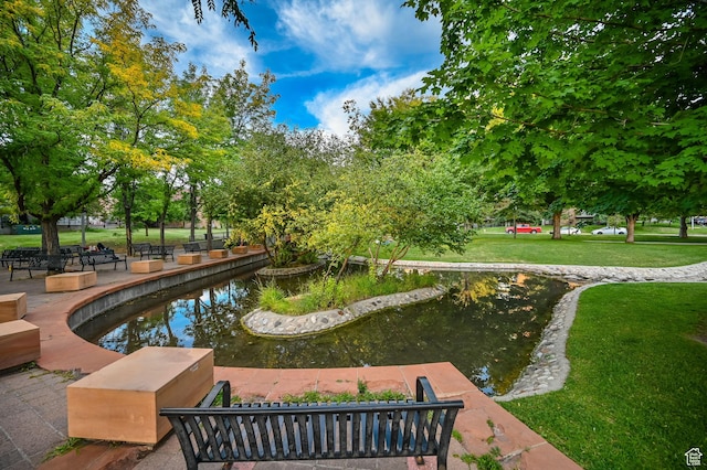 29 S State St Unit 810, Salt Lake City, UT 84111 - surrounding community with a small pond and a yard
