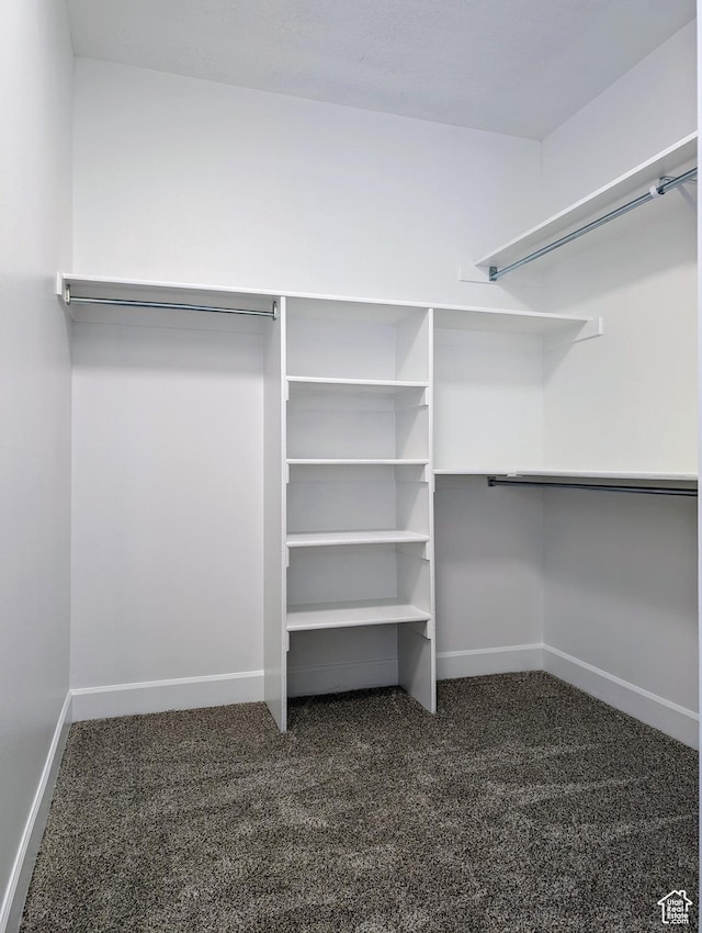1030 N 995 W Unit 907, Orem, UT 84057 - walk in closet with dark colored carpet