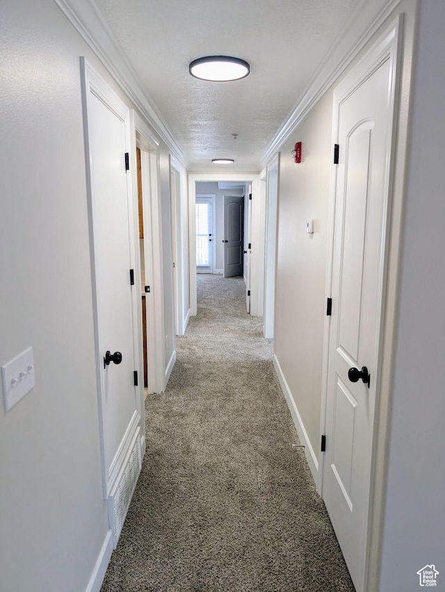 1030 N 995 W Unit 907, Orem, UT 84057 - hallway featuring carpet floors, crown molding, and baseboards