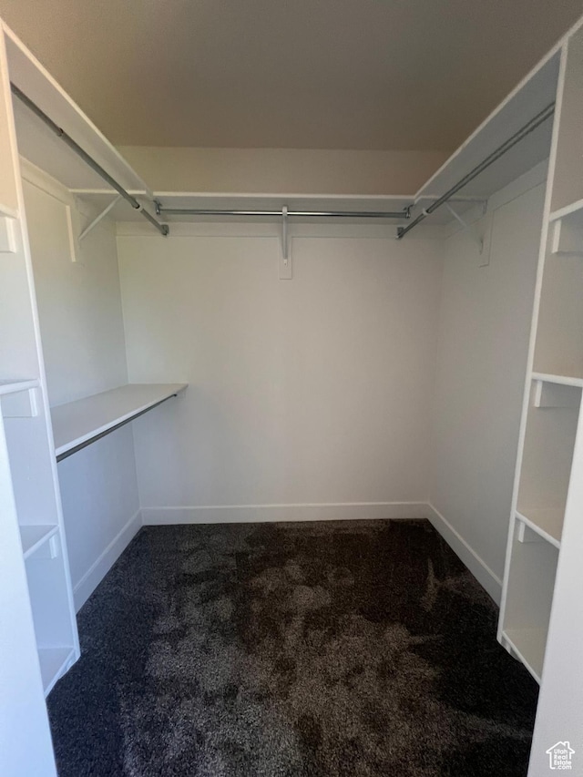 502 N 450 W, Orem, UT 84057 - walk in closet with carpet flooring