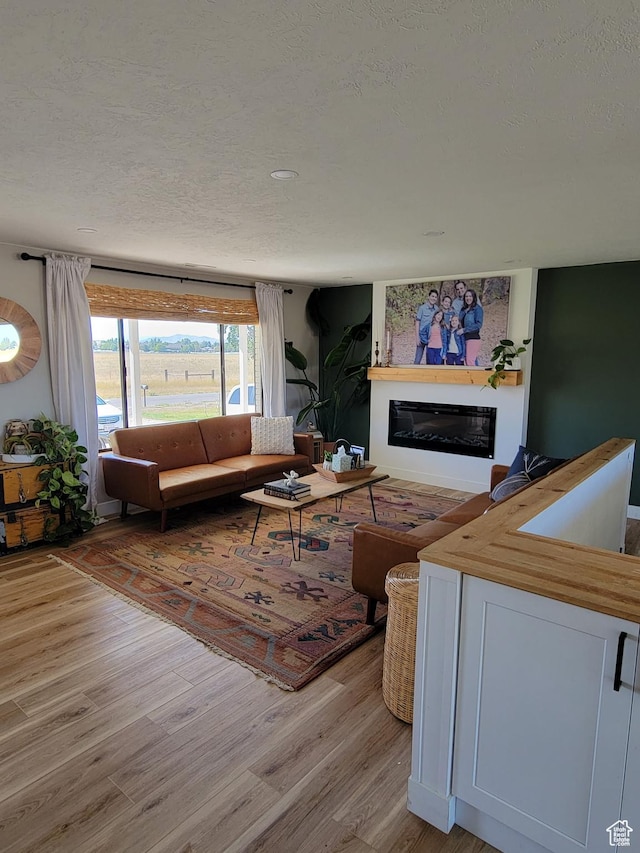 1491 Bryan Rd, Erda, UT 84074 - living area featuring light wood-type flooring, a glass covered fireplace, and a textured ceiling