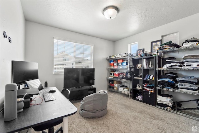 4376 W Bromwell Ct, Lehi, UT 84043 - office space featuring carpet flooring and a textured ceiling